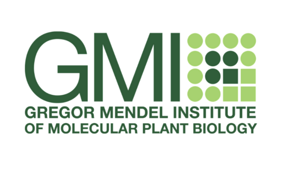 GMI Logo
